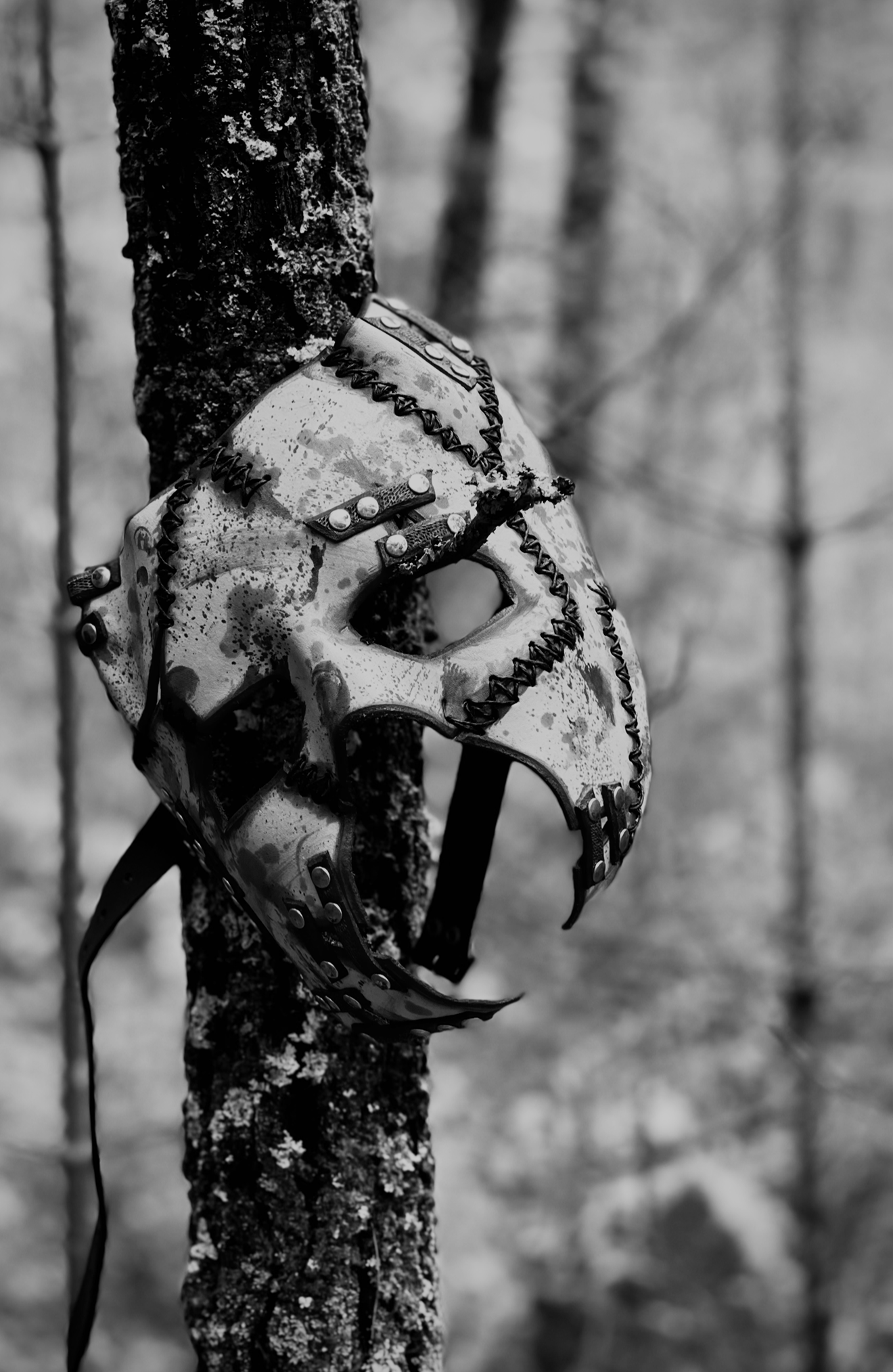 Weathered mask hanging from a tree in the woods